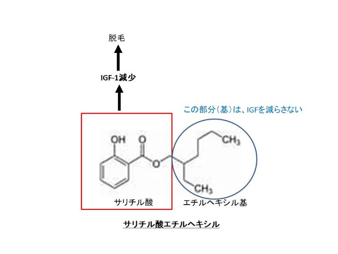 円形脱毛症　病院